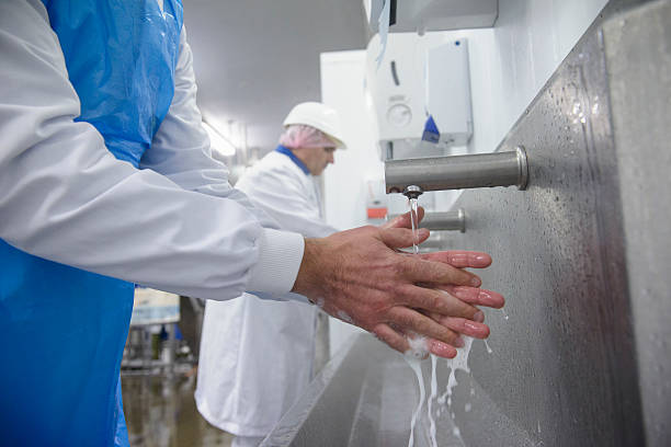 Food processing plumbing and sanitation systems